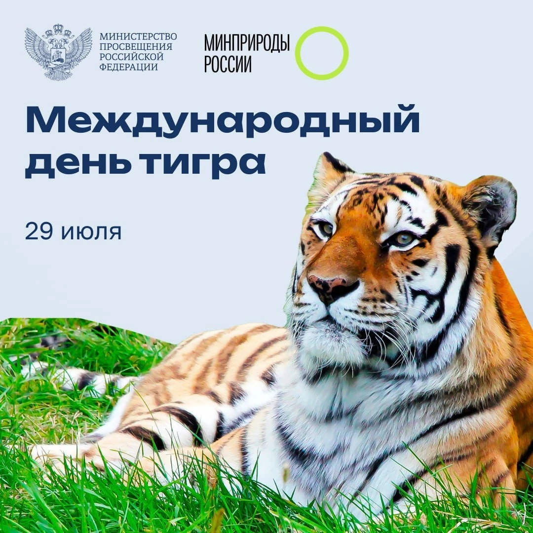 Международный день тигра.